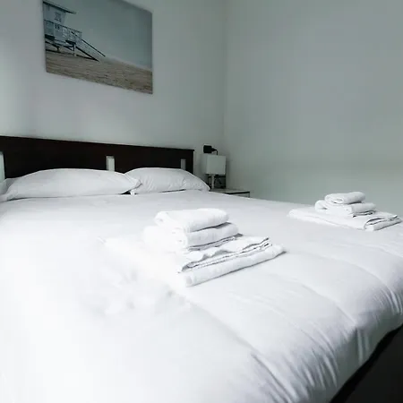 Bella Camelia - Di * San Siro